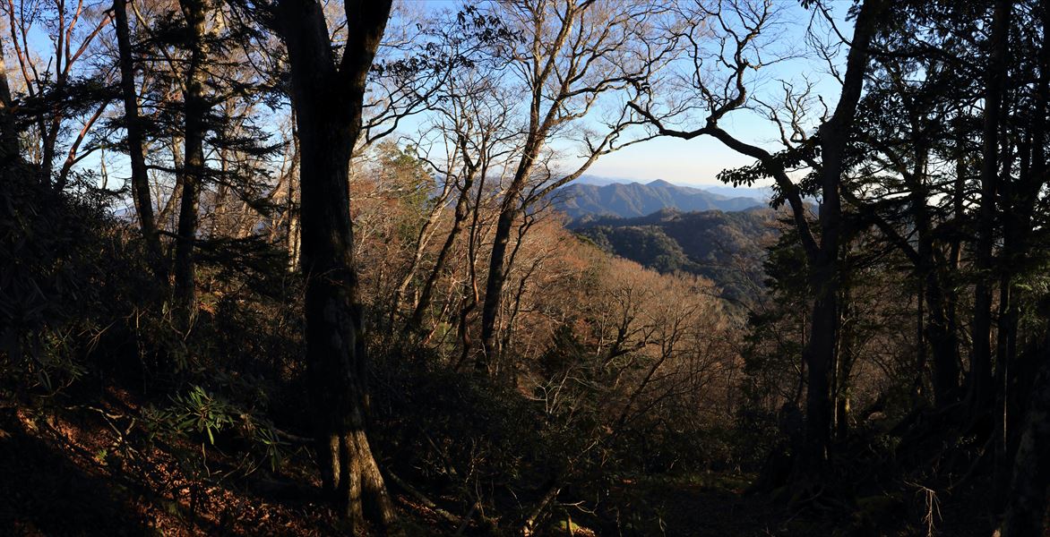 三津河落山 コブシ峠 展望 バリエーションルート 台高山脈 大台ヶ原