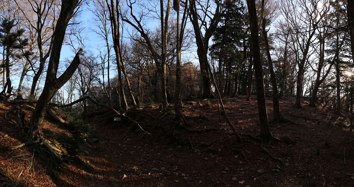 コブシ峠 展望 登山道 筏場道 台高山脈 大台ヶ原