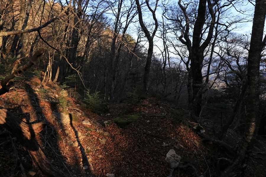 筏場道 コブシ峠 大台辻 登山道 台高山脈 大台ヶ原