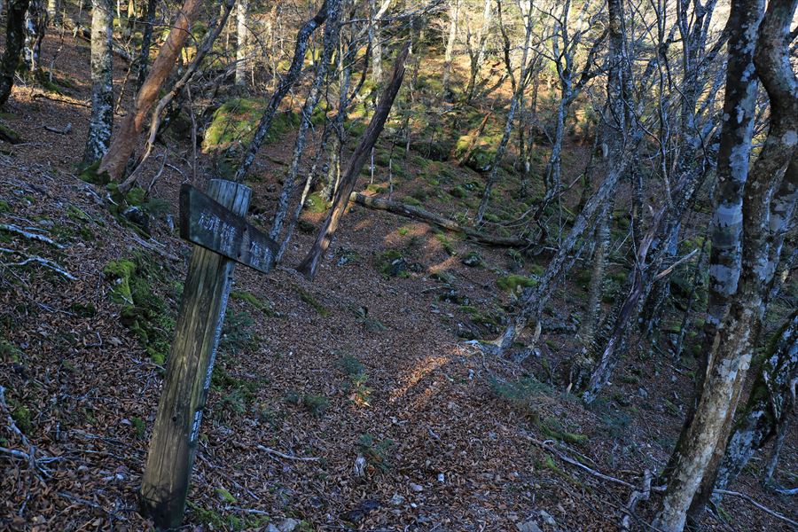 筏場道 看板 コブシ峠 大台辻 登山道 台高山脈 大台ヶ原