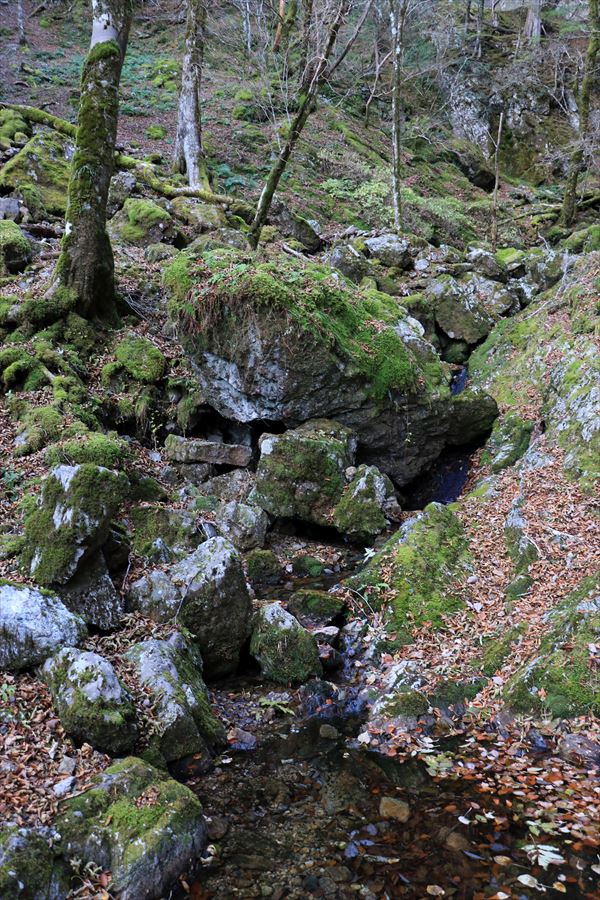 筏場道 コブシ峠 大台辻 水場 小沢 台高山脈 大台ヶ原
