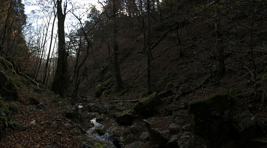 筏場道 コブシ峠 大台辻 水場 沢水 台高山脈 大台ヶ原