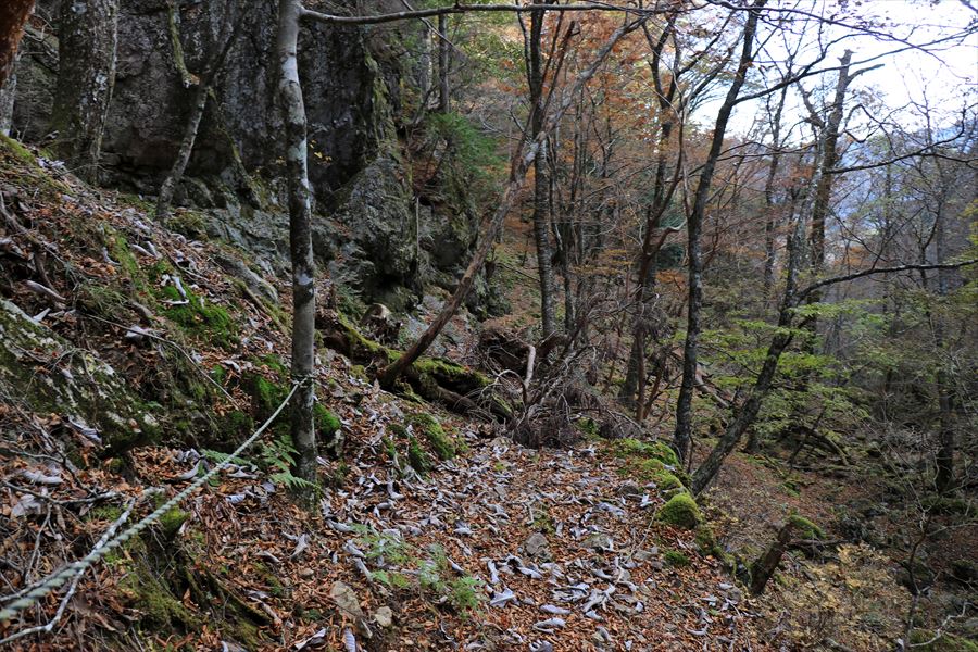 筏場道 コブシ峠 大台辻 登山道 ロープ 台高山脈 大台ヶ原