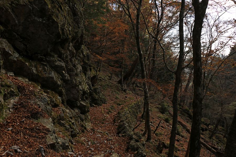 筏場道 コブシ峠 大台辻 登山道 石垣 台高山脈 大台ヶ原