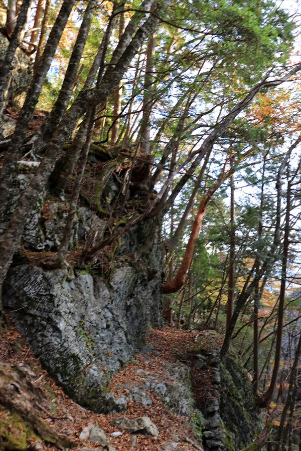 筏場道 コブシ峠 大台辻 登山道 石垣 岩場 台高山脈 大台ヶ原