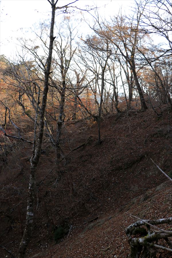 筏場道 コブシ峠 大台辻 登山道 崩落地 迂回路 台高山脈 大台ヶ原