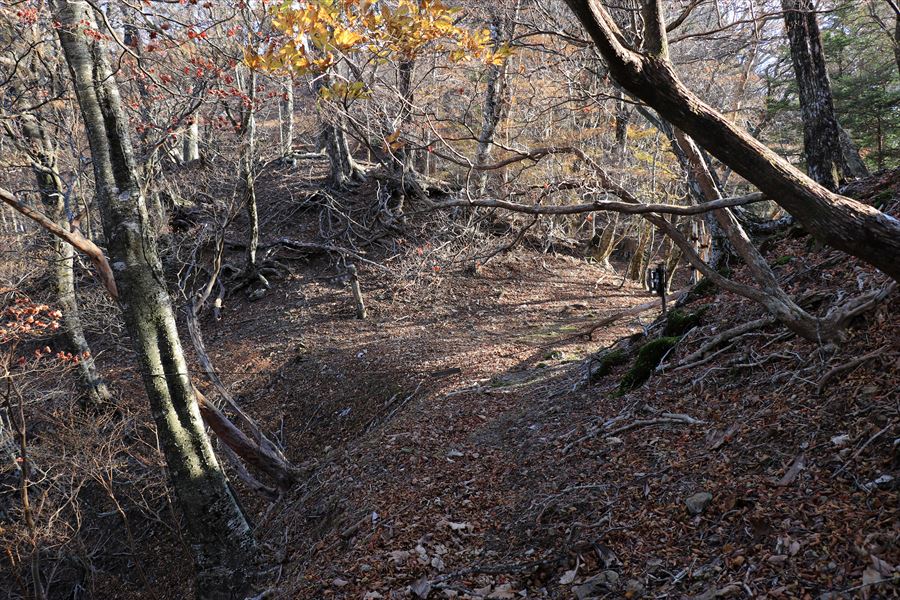 筏場道 大台辻 登山道 台高山脈 大台ヶ原