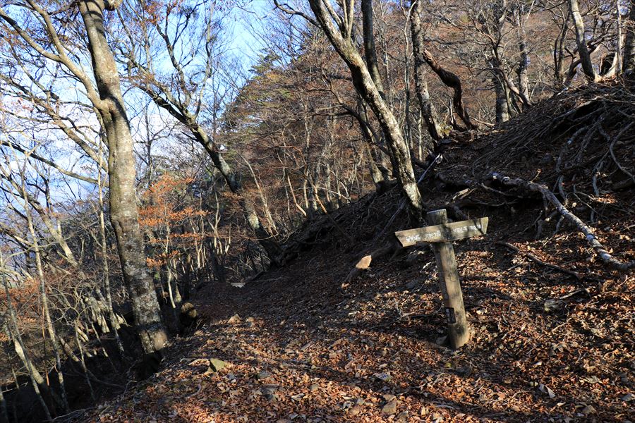 筏場道 大台辻 看板 登山道 台高山脈 大台ヶ原
