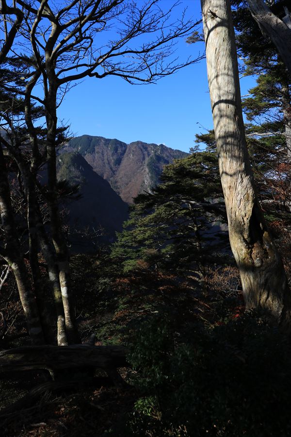 大台辻 添谷山 登山道 大和岳 展望 台高山脈
