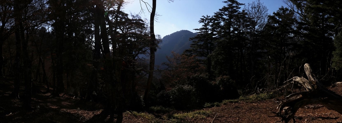 大台辻 添谷山 登山道 展望 広場 台高山脈