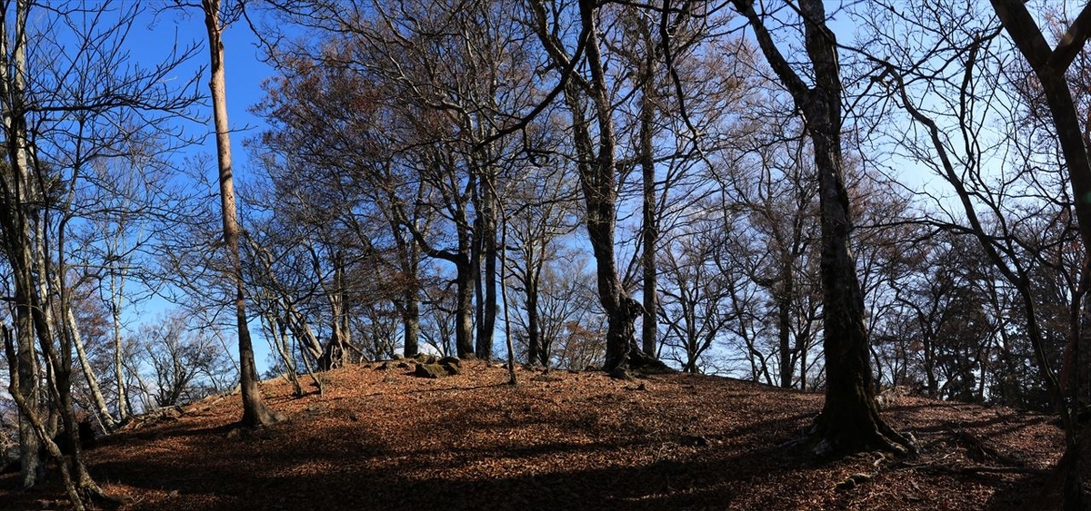 大台辻 添谷山 登山道 ピーク上 台高山脈
