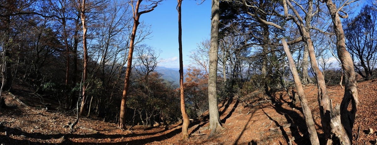 大台辻 添谷山 登山道 樹林帯 展望 台高山脈