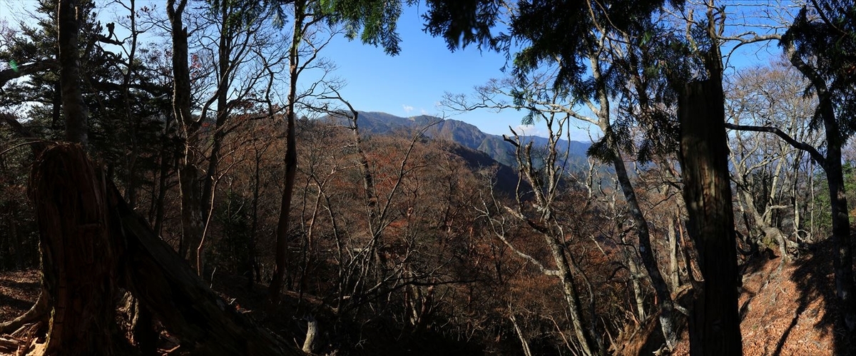大台辻 添谷山 登山道 三津河落山 展望 台高山脈