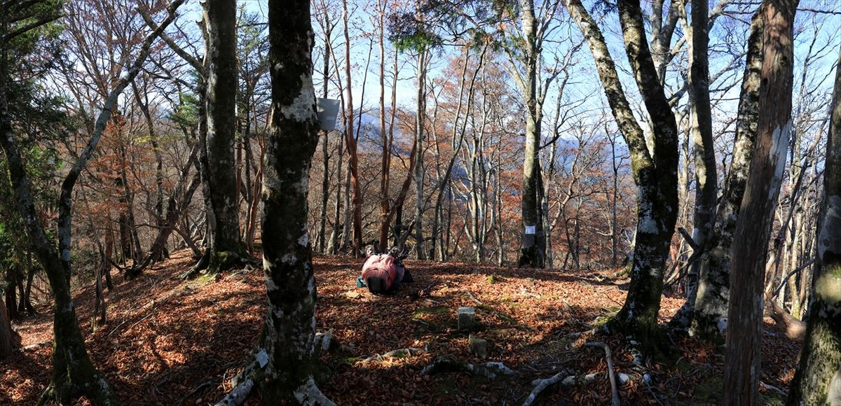 添谷山 山頂 登山 ザック 台高山脈