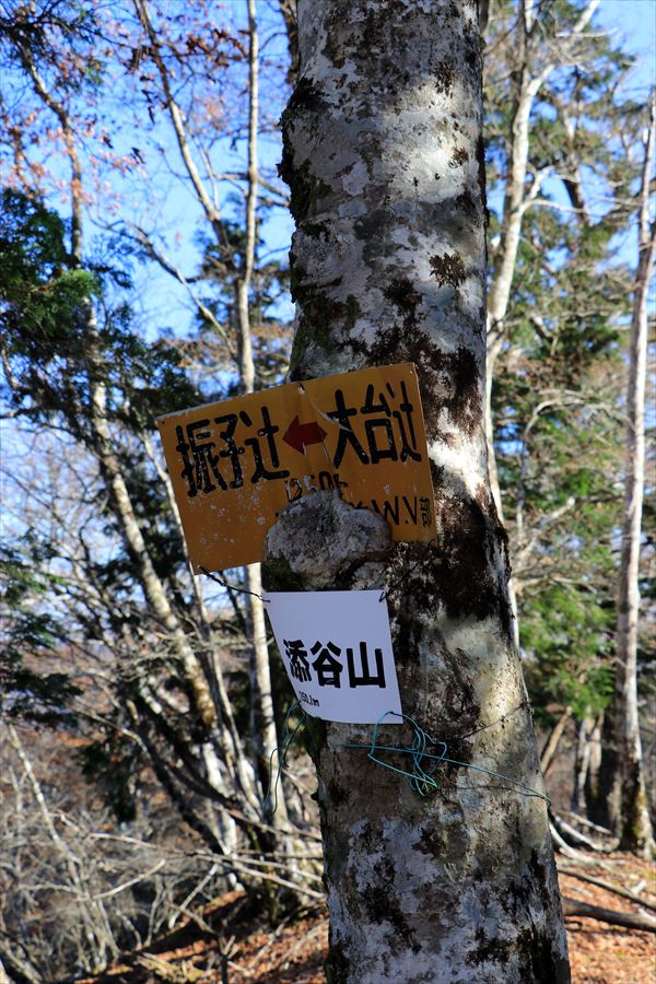 添谷山 山頂 看板 台高山脈