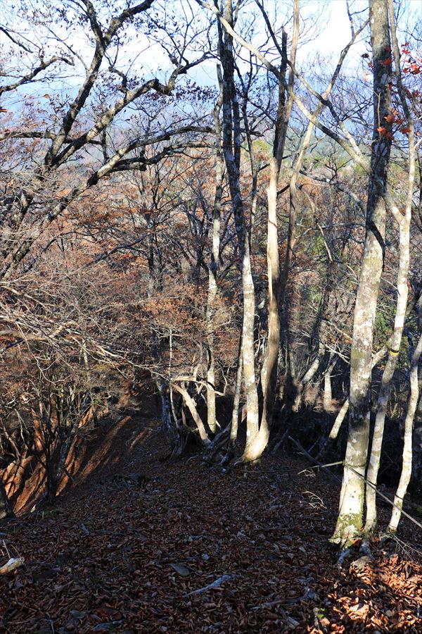 添谷山 山頂 直下 急坂 ロープ 台高山脈