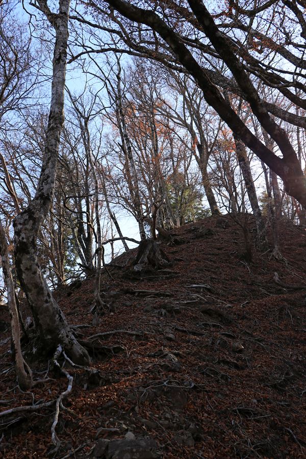 添谷山 山頂 直下 急坂 台高山脈