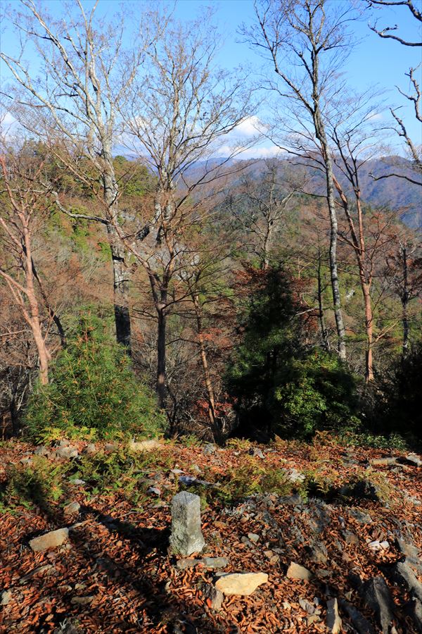添谷山 山頂 直下 県境杭 台高山脈
