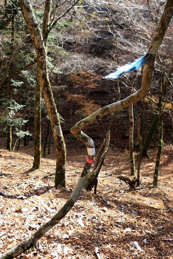 引水サコ マーキング 水場 目印 台高山脈
