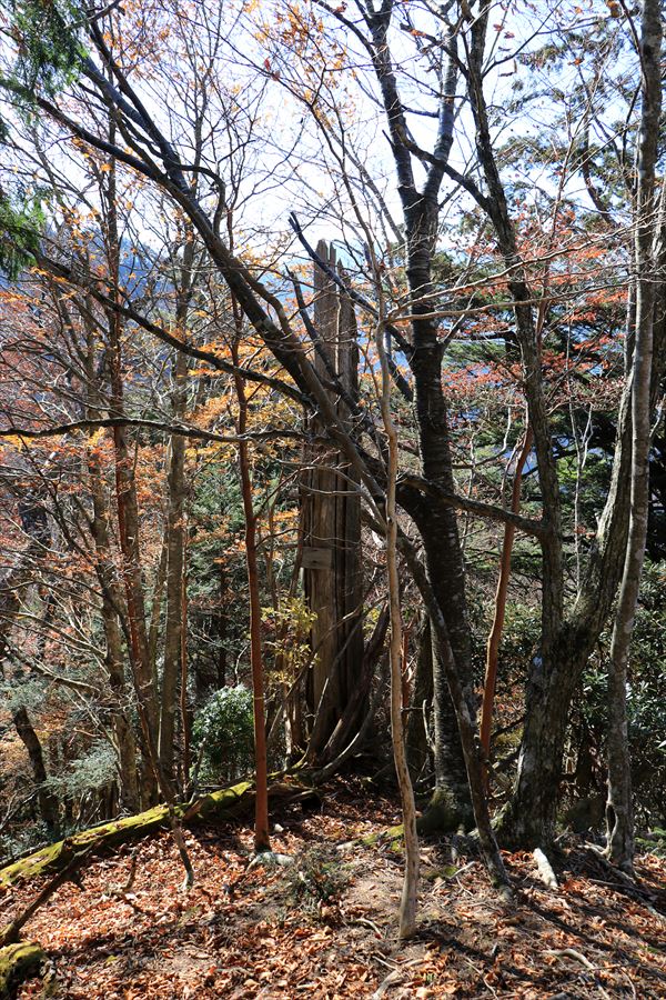 引水サコ ピーク 看板 台高山脈