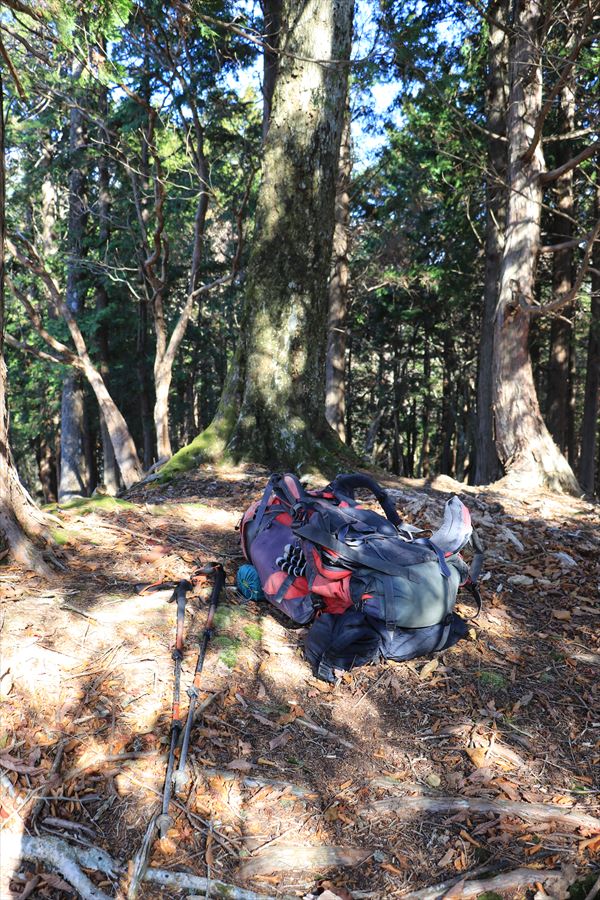 引水サコ ピーク 登山 ザック 台高山脈