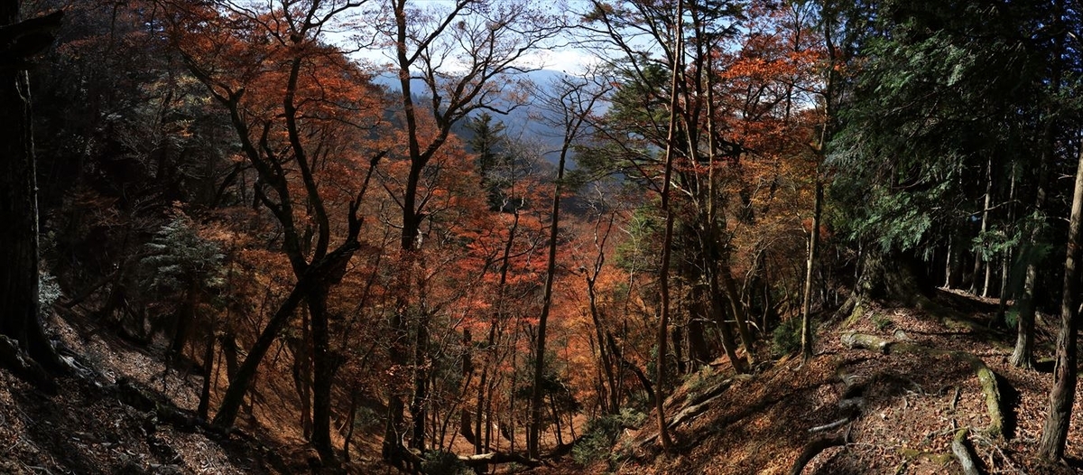 引水サコ 振子辻 鞍部 紅葉 台高山脈