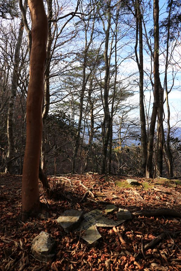 振子辻 山頂 看板 台高山脈