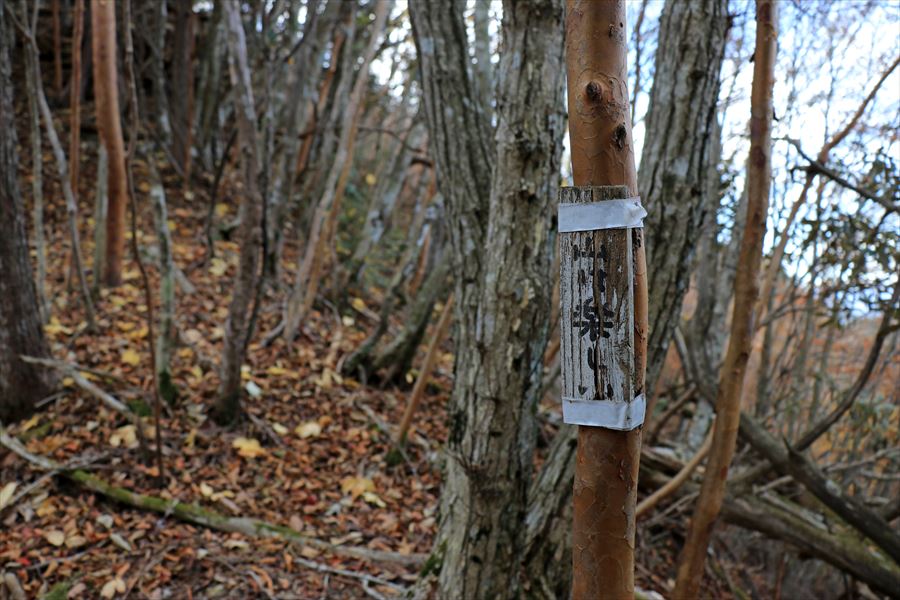 山は楽しい 看板 振子辻 登山道 台高山脈