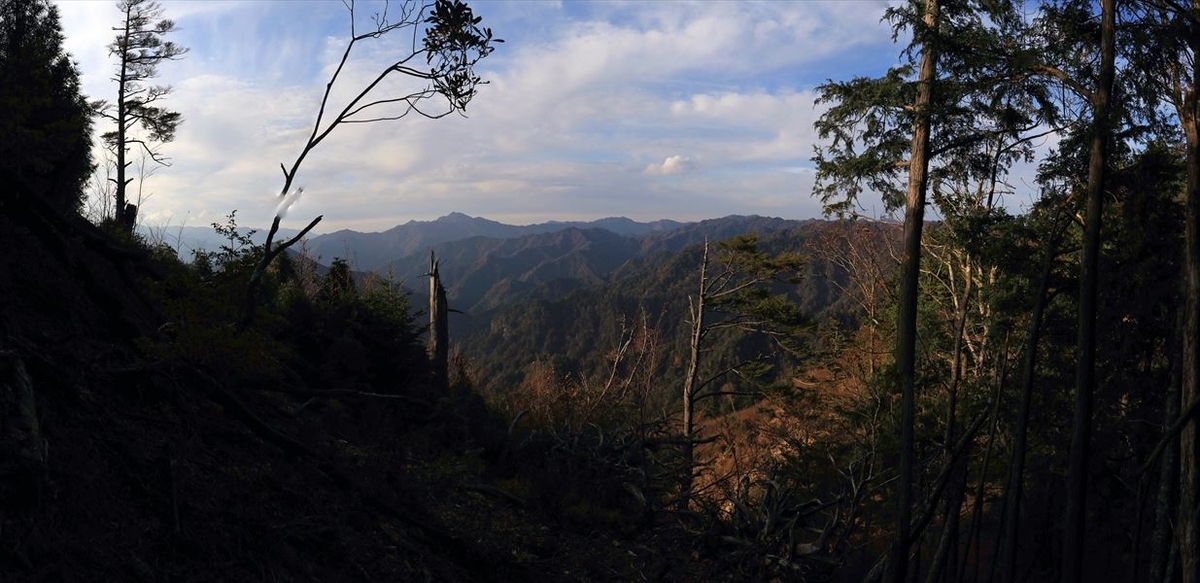 杉又高 父ヶ谷ノ高 白髪山 展望 台高山脈