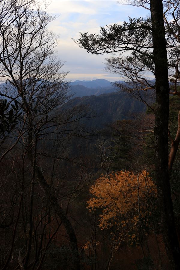 杉又高 父ヶ谷ノ高 樹間 展望 廃道 台高山脈