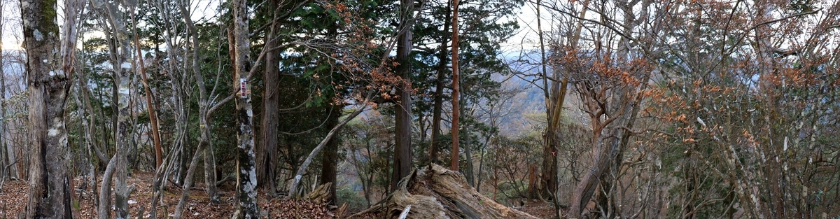 父ヶ谷ノ高 山頂 展望 樹林帯 台高山脈
