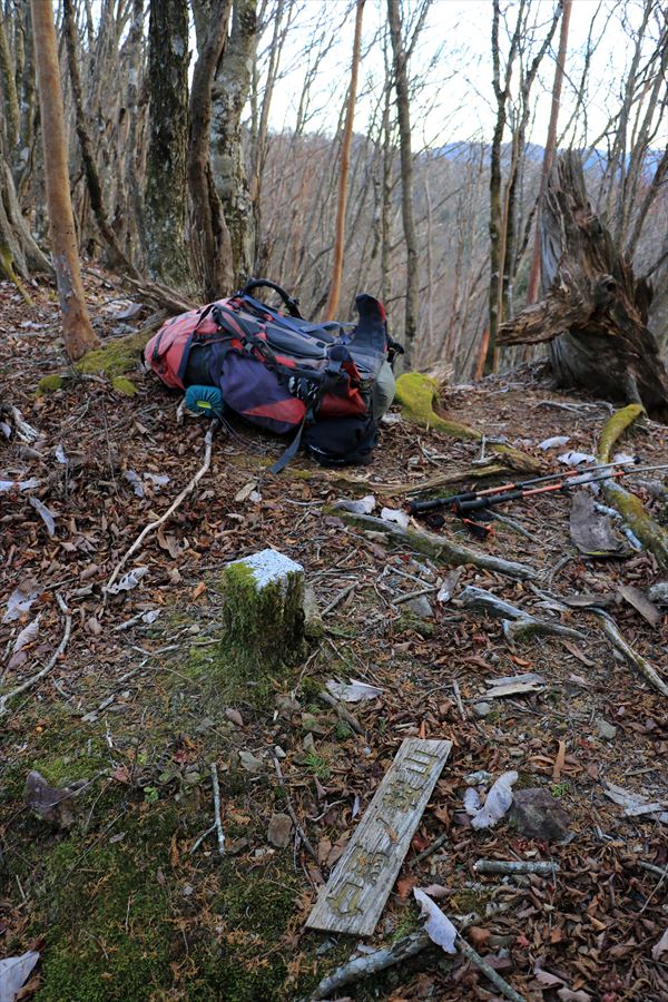 父ヶ谷ノ高 山頂 登山 ザック 休憩 樹林帯 台高山脈