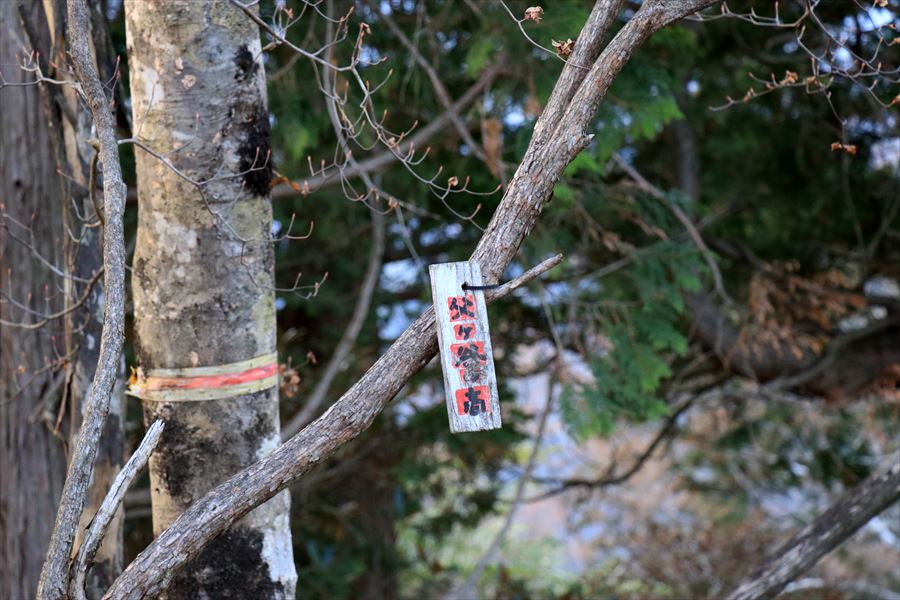 父ヶ谷ノ高 山頂 看板 プレート 台高山脈