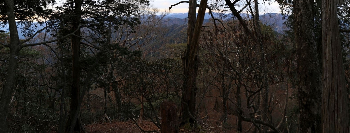 父ヶ谷ノ高 山頂 直下 下り坂 台高山脈