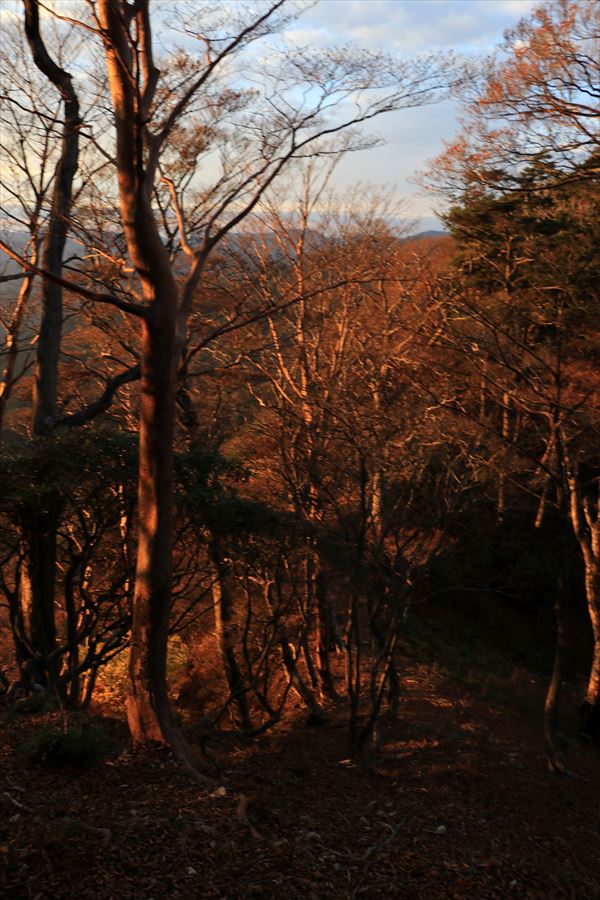 父ヶ谷ノ高 三之公雨量観測所 尾根 夕方 台高山脈
