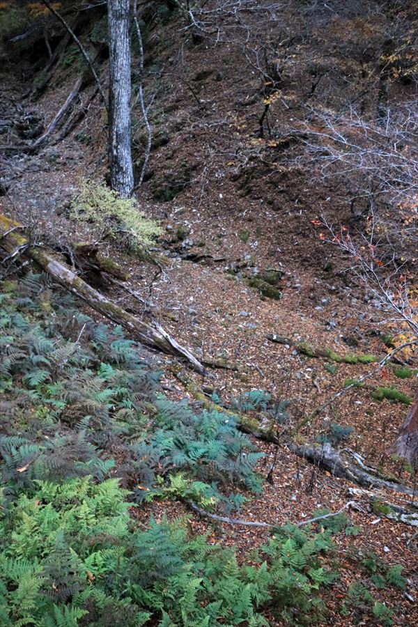 ブナノ平 三之公雨量観測所 水場 台高山脈