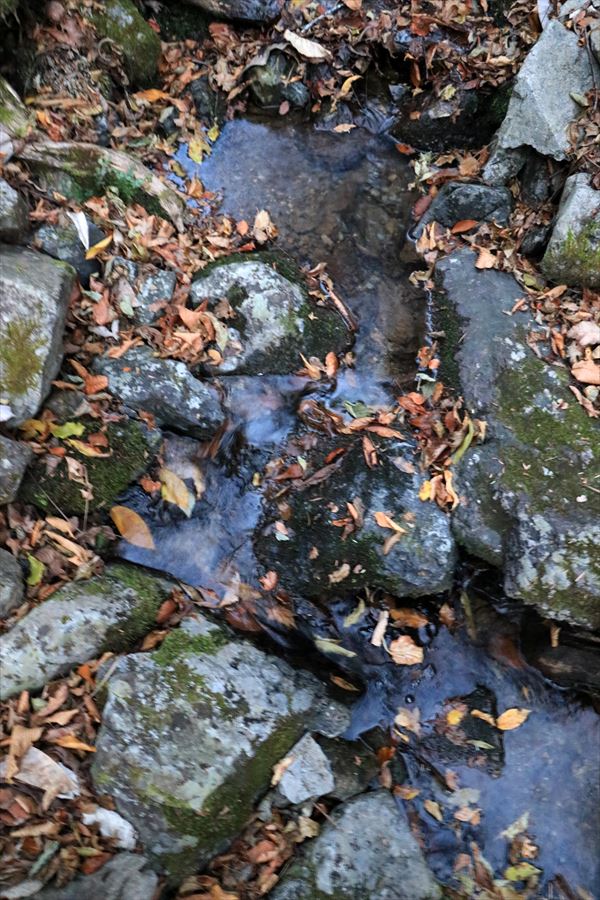 ブナノ平 三之公雨量観測所 水量 豊富 台高山脈