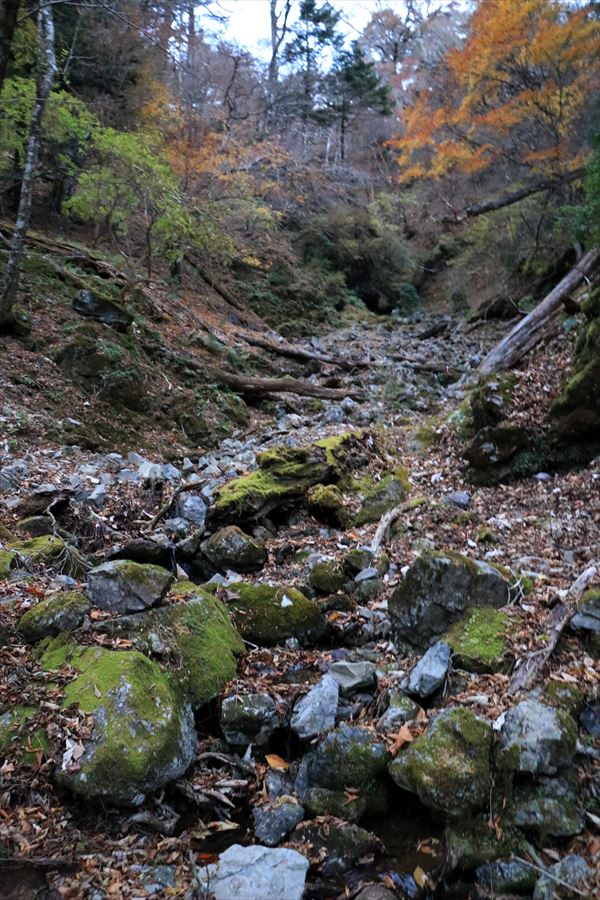 ブナノ平 三之公雨量観測所 水場 小沢 台高山脈