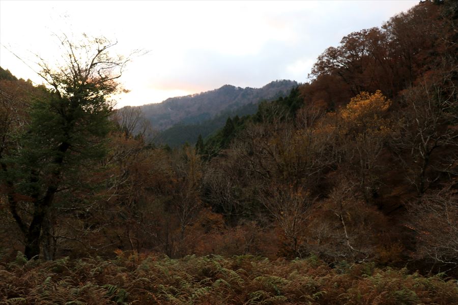 三之公雨量観測所 展望 父ヶ谷ノ高 ブナ平 台高山脈