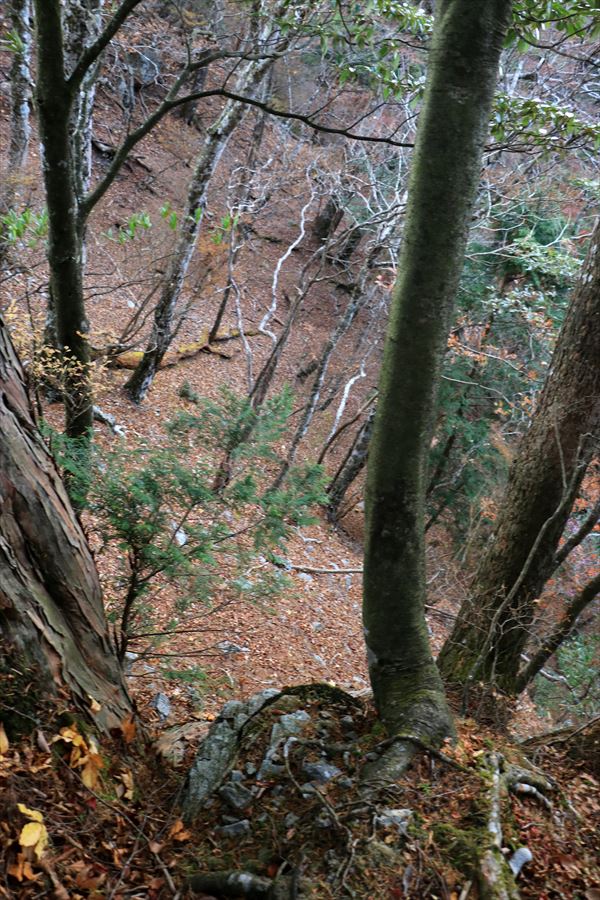 三之公雨量観測所 湯谷ノ頭 急坂 崖 台高山脈