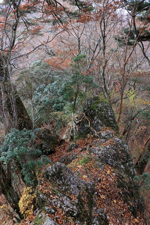 三之公雨量観測所 湯谷ノ頭 岩場 痩せ尾根 難所 台高山脈