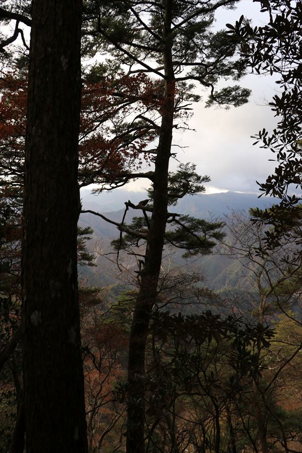 三之公雨量観測所 湯谷ノ頭 展望 樹間 台高山脈