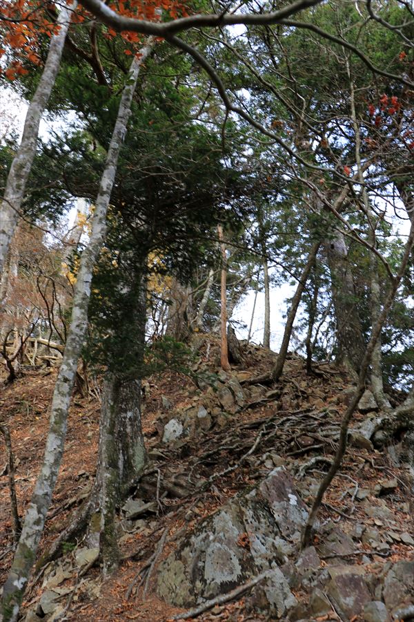 湯谷ノ頭 直下 急登 岩稜 台高山脈