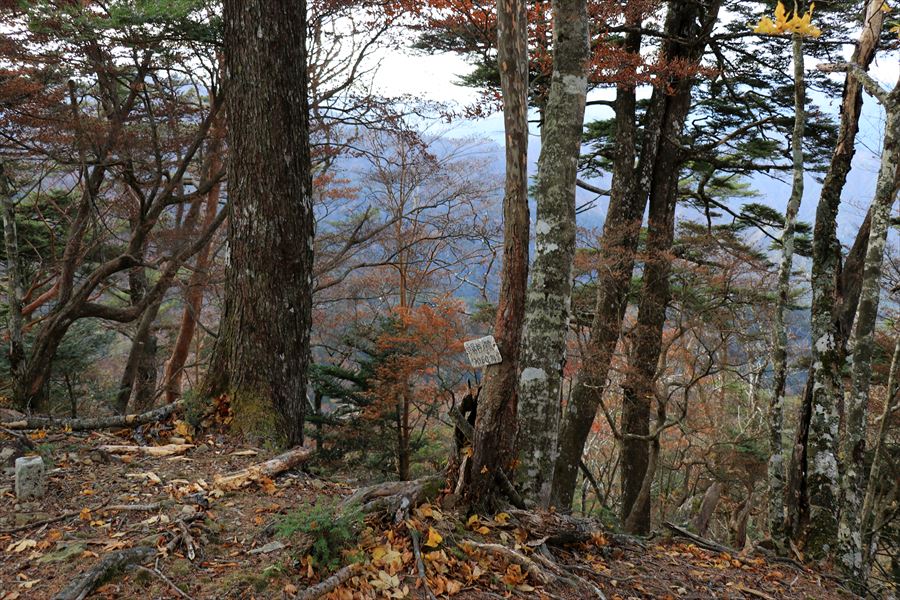 湯谷ノ頭 山頂 看板 台高山脈
