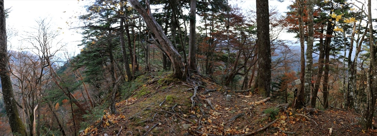 湯谷ノ頭 山頂 展望 台高山脈