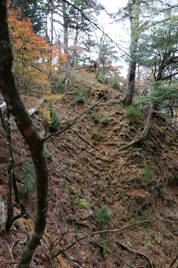 湯谷ノ頭 山頂 崖 急斜面 台高山脈