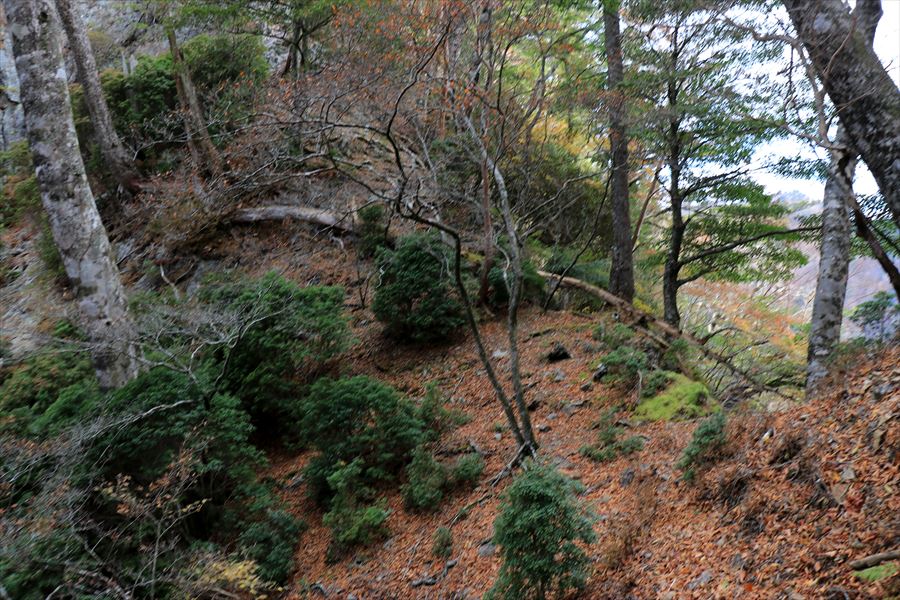 湯谷ノ頭 トラバース 迂回 復帰 急斜面 ザレ場 台高山脈