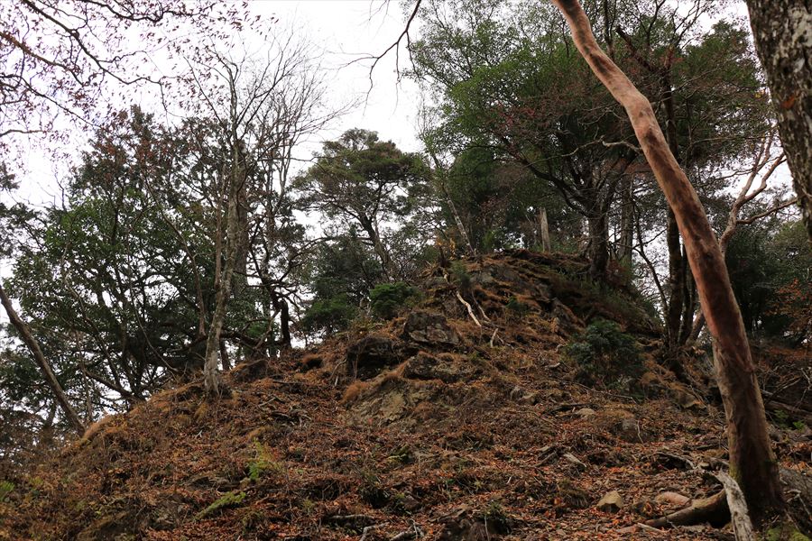 湯谷ノ頭 崖 急斜面 見上げる 台高山脈