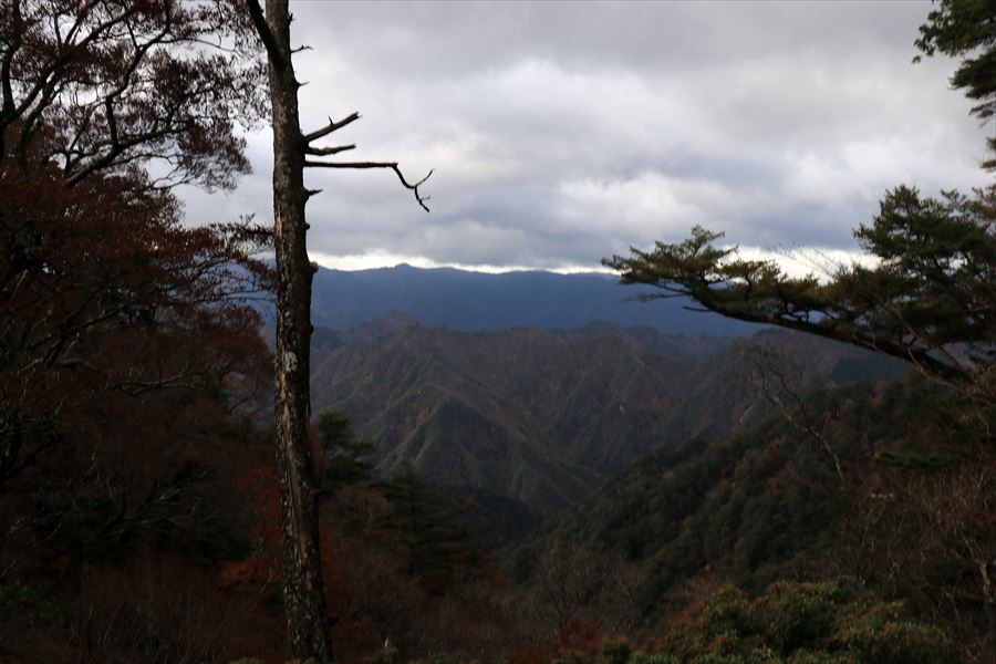 湯谷ノ頭 尾根 倒木 登り返し 展望 台高山脈