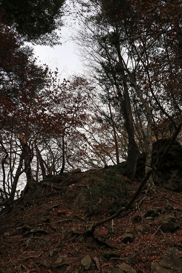 湯谷ノ頭 山ノ神ノ頭 尾根 悪路 登り返し 台高山脈